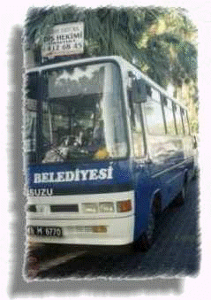 icmelerbus2.jpg (10503 bytes)
