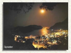 icmelernight.jpg (8972 bytes)