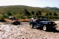 jeep.jpg (6226 bytes)