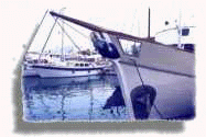 marina10.jpg (3696 bytes)
