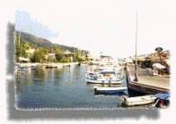 marina16.jpg (3749 bytes)