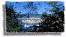 marina8.jpg (4804 bytes)