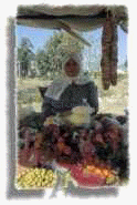 market10.jpg (3982 bytes)
