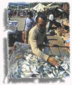 market4.jpg (4789 bytes)