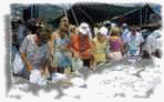 market7.jpg (2858 bytes)